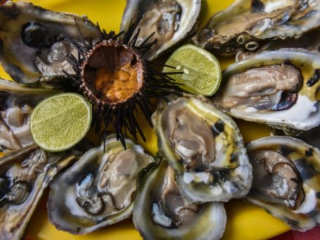 Plate d'huîtres fraîches avec des citrons verts et un demi-oursin